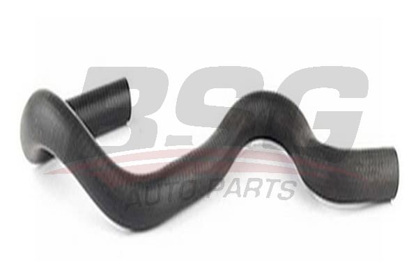 BSG 30720203 Yedek Su Depo Hortumu Alt