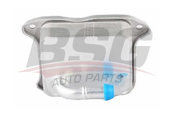 BSG 90506014 Yağ Soğutucusu - . Görsel