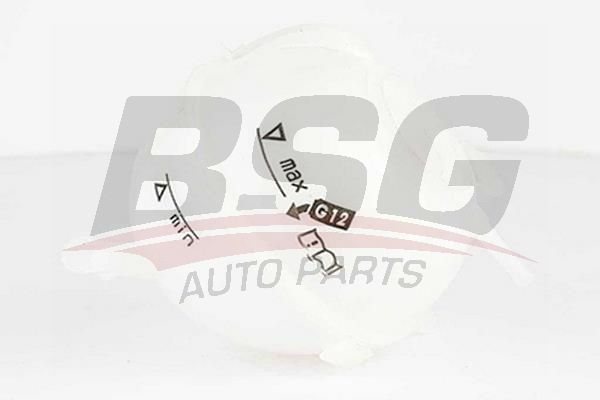 BSG 90550004 Radyatör Yedek Su Deposu