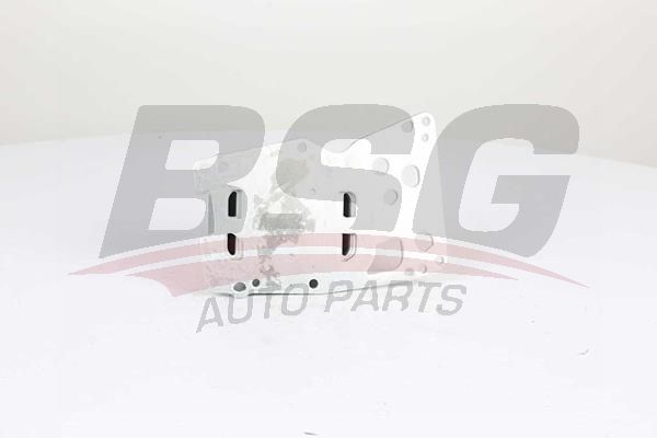 BSG 15506014 Yağ Radyatörü