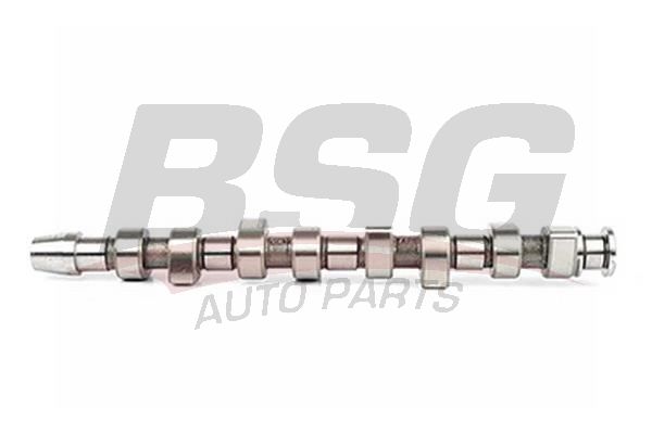 BSG 90108002 Eksantrik Mili