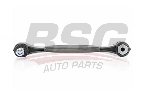 BSG 60310169 Viraj Askı Rotu Arka