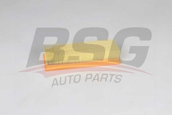 BSG 25135006 Hava Filtresi