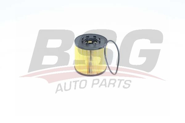BSG 75140002 Yağ Filtresi