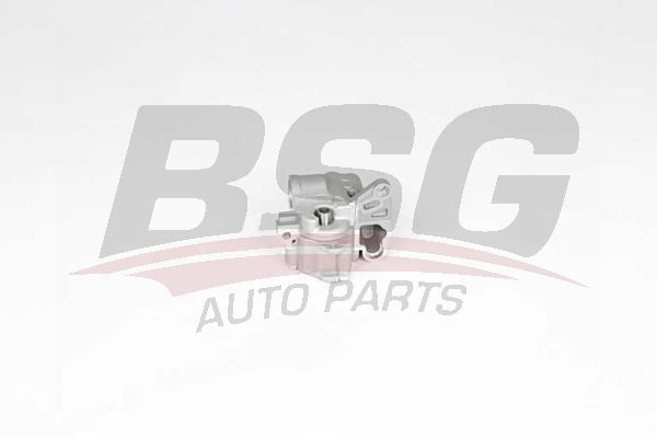 BSG 90101014 Yağ Pompası