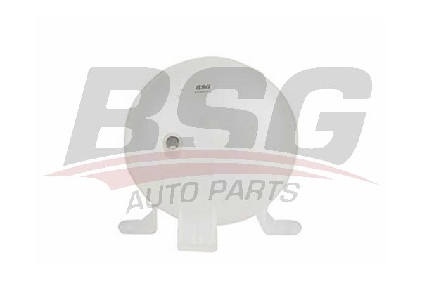 BSG 65550002 Radyatör Yedek Su Deposu