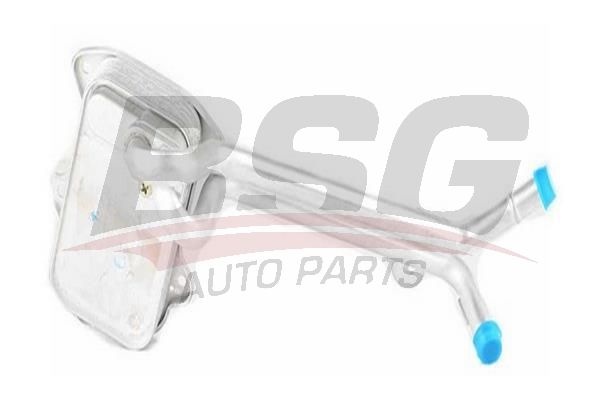 BSG 90506011 Yağ Soğutucusu - . Görsel