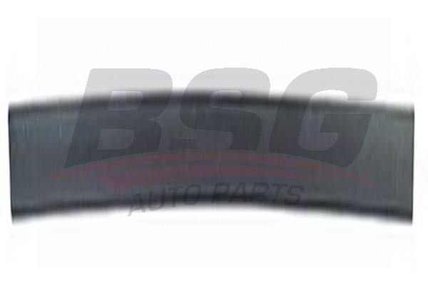 BSG 65925016 Kapı Bandı Ön Sol