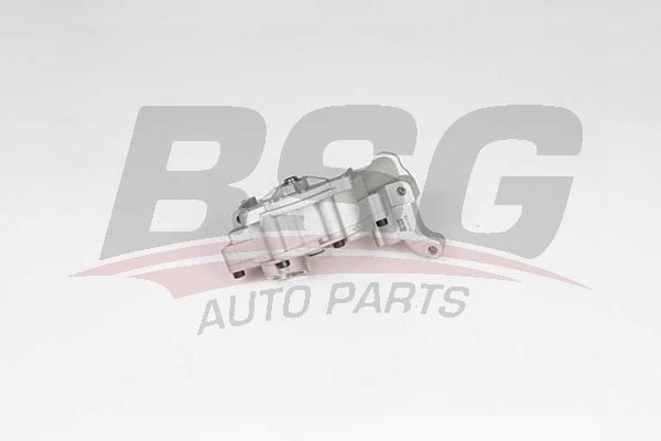 BSG 90101009 Yağ Pompası