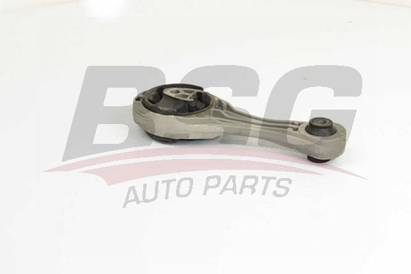 BSG 75705029 Motor Takozu Arka