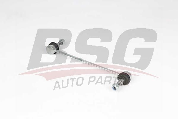 BSG 25310047 Viraj Askı Rotu Ön - . Görsel