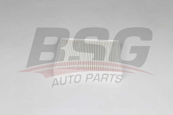 BSG 75145012 Polen Filtresi
