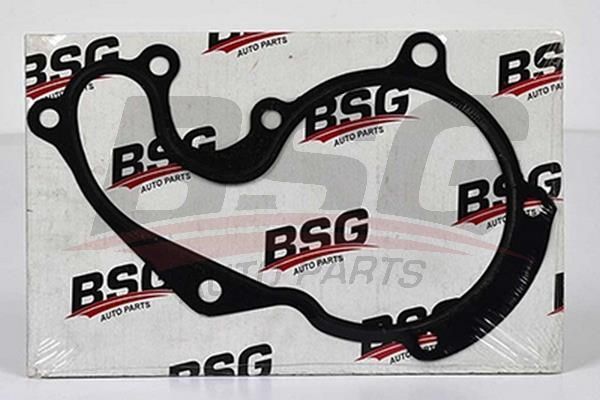 BSG 30116017 Devirdaim Contası