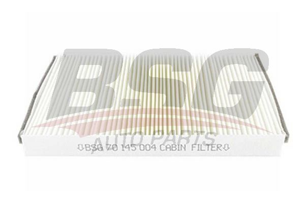 BSG 70145004 Polen Filtresi