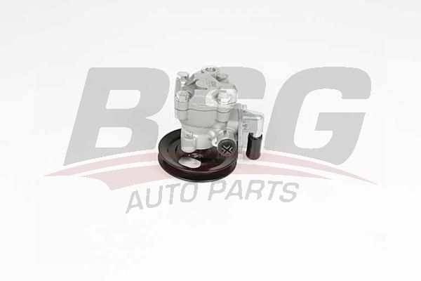 BSG 40355009 Direksiyon Pompası - . Görsel