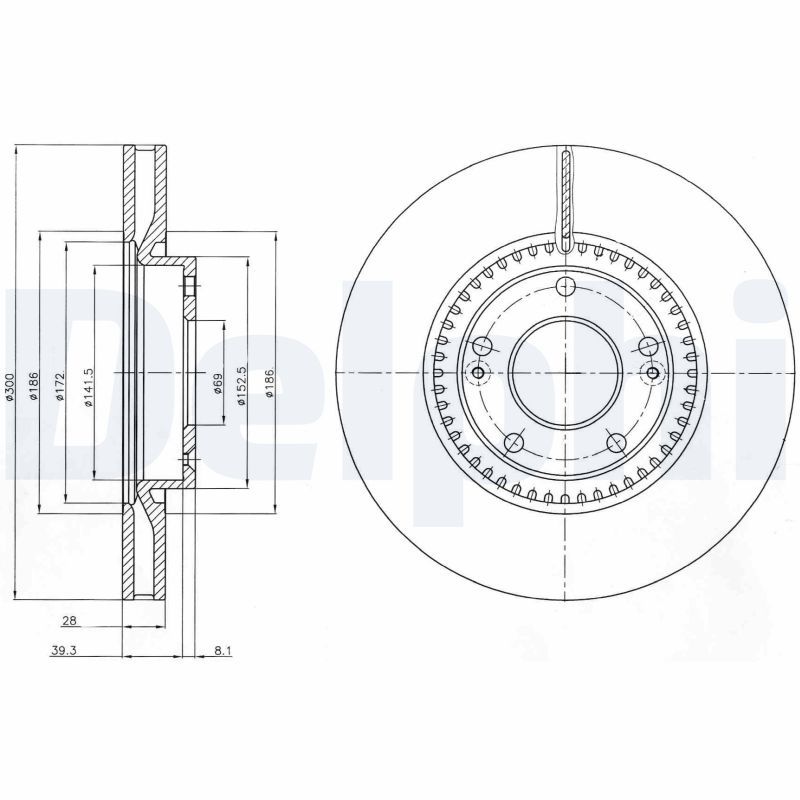 Fren Diski DELPHI BG4251C