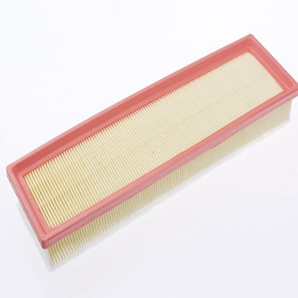 Peugeot 206 307 Citroen C4 Hava Filtresi - . Görsel