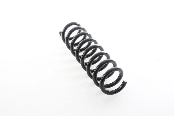 Helezon Yayı Arka BSG 15-305-004