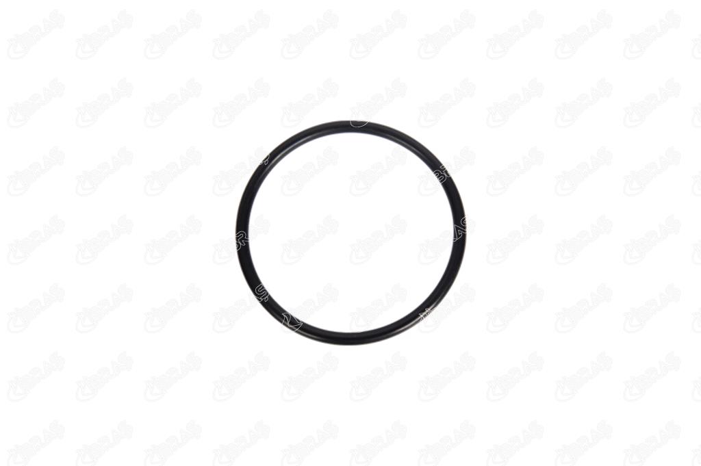 IBR 11069 Gaz Kelebeği Contası 63MM X 4MM