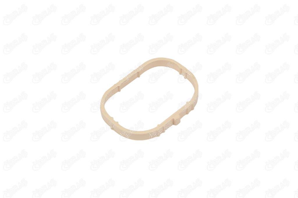 IBR 11631 Emme Manifold Contası