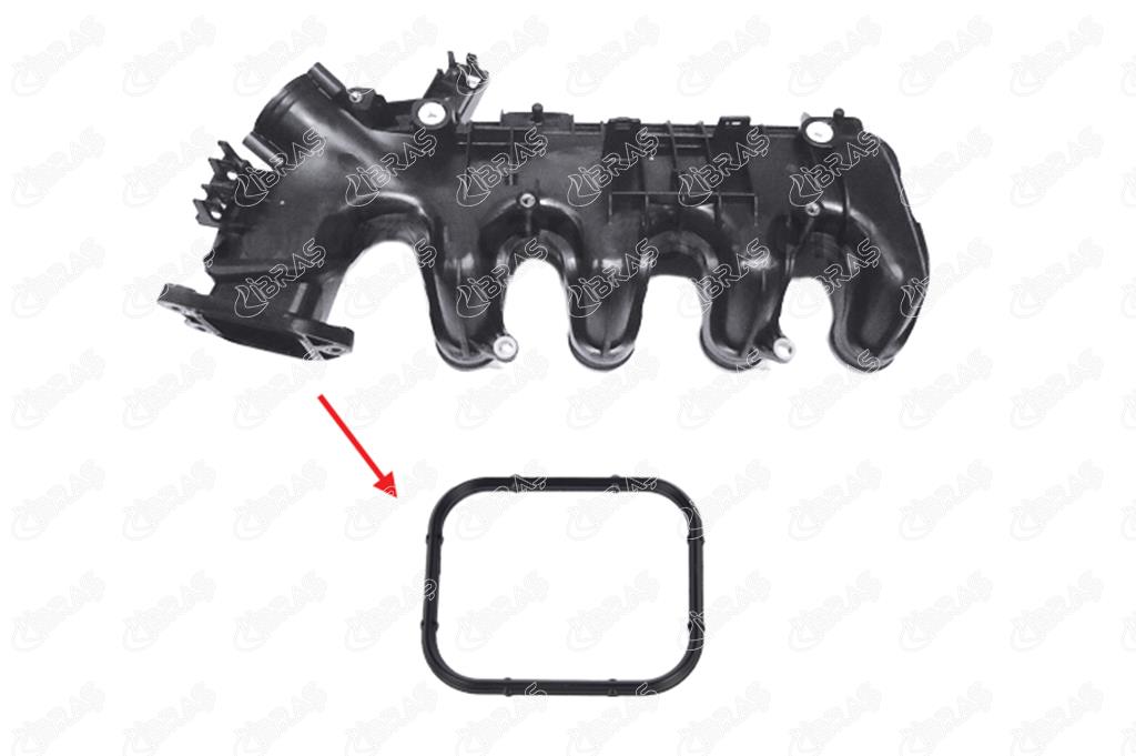 IBR 19936 Emme Manifold Contası