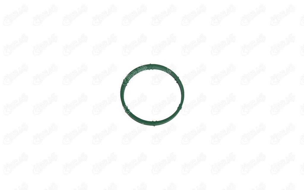 IBR 27857 Emme Manifold Contası