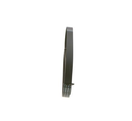 BOSCH 1987948498 V Kayışı - . Görsel