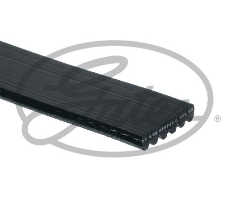 GATES 6PK1153 V Kayışı - . Görsel