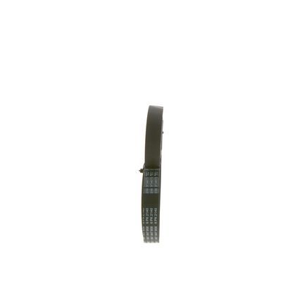 BOSCH 1987947958 V Kayışı - . Görsel