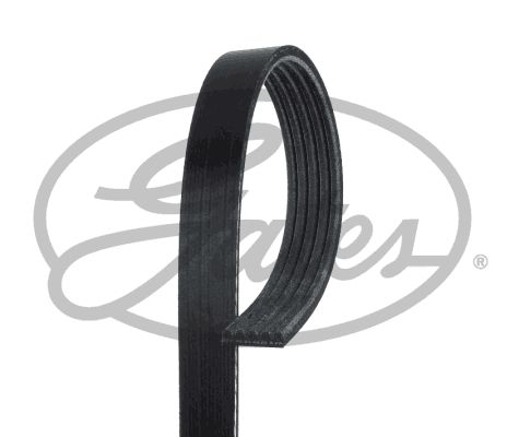 GATES 5PK885 V Kayışı