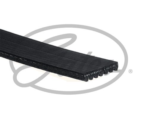 GATES 7PK1370 V Kayışı - . Görsel