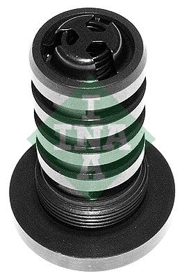 INA 427000510 Eksantrik Mil Ayarlayıcı - . Görsel