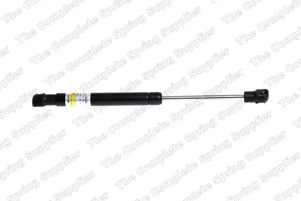 Motor Kaput Amortisörü Sağ veya Sol BSG 95-980-007