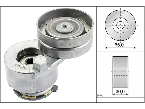 Kayış Gerdirici, Kanallı V Kayışı Schaeffler INA 534 0142 30