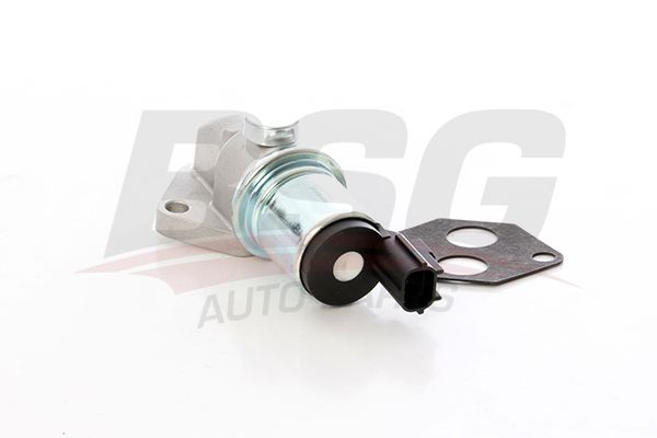 BSG 30836010 Rolantı Ayar Valfi
