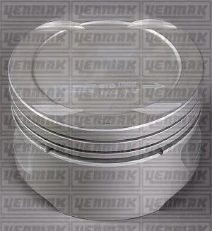 Piston (79.00MM-STD)  NÜRAL 87-71683-STD