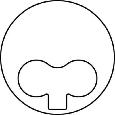 Piston MAHLE 681 14 02