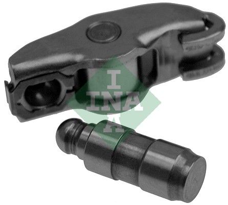 INA 423005110 Supap Itıcı Tusu