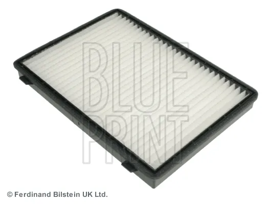 Polen Filtresi  BLUE PRINT ADG02545