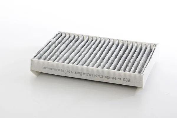 Polen Filtresi  BSG 16-145-001