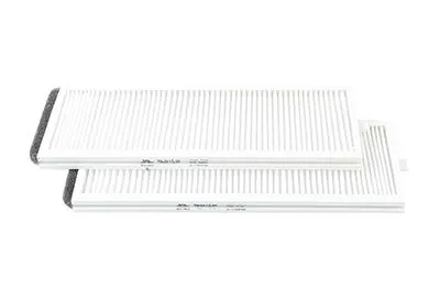Polen Filtresi  BSG 40-145-001