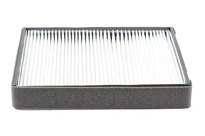 Polen Filtresi  BSG 40-145-007