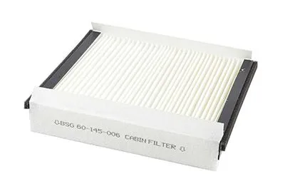 Polen Filtresi  BSG 60-145-006