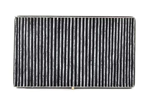 Polen Filtresi  BSG 60-145-016