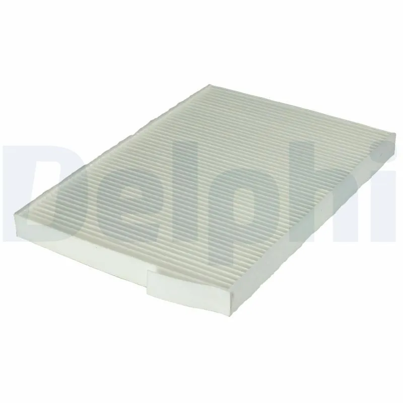 Polen Filtresi  DELPHI KF10015