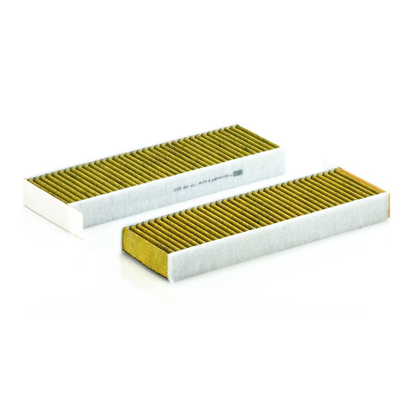 Polen Filtresi MANN FP 29 003-2