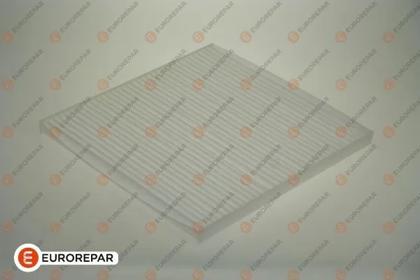 Polen Filtresi  PSA ORJINAL 1610589580