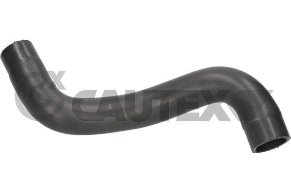 V-Kayışı Schaeffler INA FB 10X1175