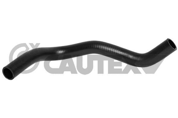 Radyatör Hortumu CAUTEX 754262