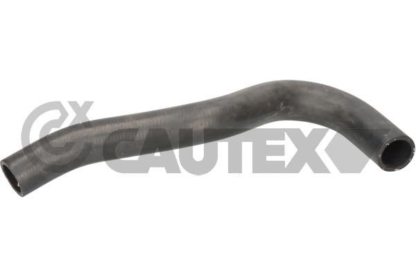 Radyatör Hortumu CAUTEX 777496